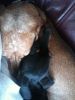 snuggle 3.jpg