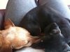 snuggle 4.jpg