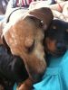 snuggle 5.jpg
