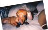 Filename=coco3.jpg
Filesize=103KB
Dimensions=964x615
Date added=Aug 28, 2005 coco3.jpg