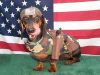Filename=weiner.jpg
Filesize=24KB
Dimensions=407x307
Date added=Sep 20, 2005 weiner.jpg