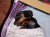 Filename=DSC01560.JPG
Filesize=54KB
Dimensions=640x480
Date added=Jun 23, 2006 DSC01560.JPG