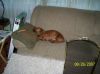 Filename=Winnie Chair.jpg
Filesize=26KB
Dimensions=350x262
Date added=Sep 16, 2007 Winnie Chair.jpg