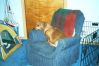 Filename=Zoe in her Big Girl Chair.jpg
Filesize=31KB
Dimensions=448x300
Date added=Mar 25, 2007 Zoe in her Big Girl Chair.jpg
