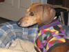 Filename=147.jpg
Filesize=27KB
Dimensions=240x180
Date added=Jul 01, 2007 147.jpg