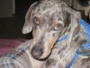 Filename=752.jpg
Filesize=27KB
Dimensions=240x180
Date added=Mar 19, 2007 752.jpg