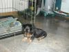 DSCN3181.jpg