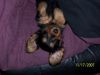 m_100_4410.jpg