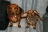 IMG_0756_1_1_1_3_1.JPG