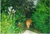 DAPHNE EXPLORING SUMMER 2207.jpg