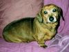 ELLIE 2005.jpg