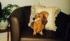 Filename=EMILY WITH THE DACHSHUND CUSHION 2008.jpg
Filesize=584KB
Dimensions=1603x934
Date added=Sep 13, 2008 EMILY WITH THE DACHSHUND CUSHION 2008.jpg