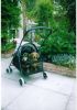 OSCAR & DAPHNE IN STROLLER AUGUST 2005.jpg