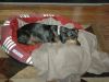 dec 2008 034.JPG