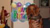 DSC03116.JPG