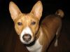 Filename=Cyrus the Virus.JPG
Filesize=137KB
Dimensions=711x533
Date added=Apr 28, 2009 Cyrus the Virus.JPG