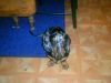 Picture_250.jpg
