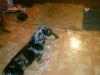 Picture_251.jpg